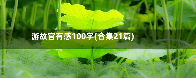 游故宫有感100字(合集21篇)